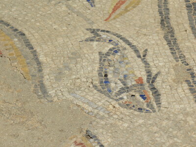 2024 Maroc, 10044 Volubilis