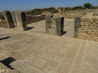 2024 Maroc, 10046 Volubilis