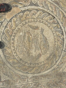 2024 Maroc, 10047 Volubilis