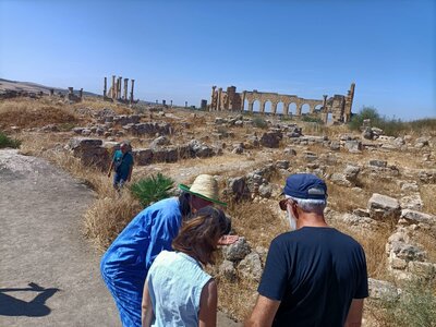 2024 Maroc, 10050