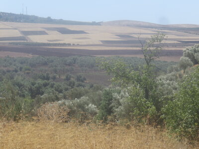 2024 Maroc, 10061 Volubilis