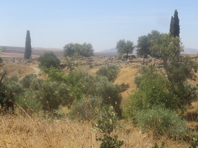 2024 Maroc, 10062 Volubilis