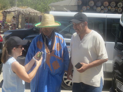 2024 Maroc, 10063 Volubilis