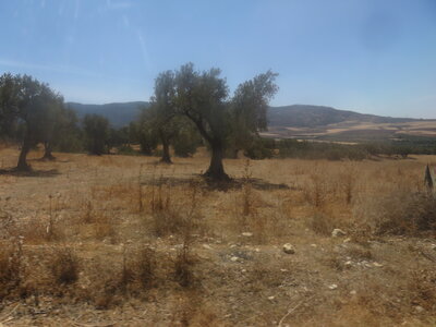 2024 Maroc, 10080 Moulay Idriss