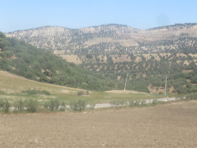 2024 Maroc, 10081 Moulay Idriss