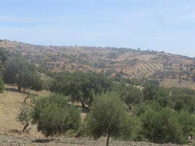2024 Maroc, 10082 Moulay Idriss