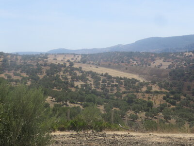 2024 Maroc, 10083 Moulay Idriss