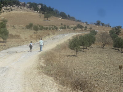 2024 Maroc, 10084 Moulay Idriss