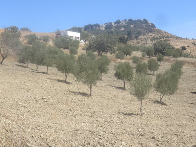 2024 Maroc, 10085 Moulay Idriss