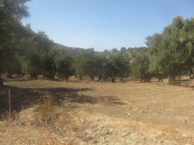 2024 Maroc, 10091 Moulay Idriss