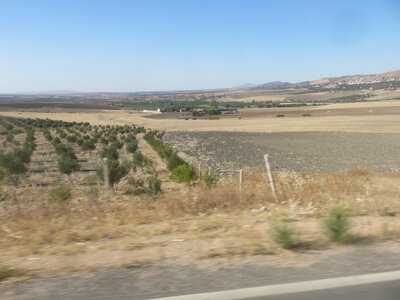 2024 Maroc, 10108 sur la route de Meknès