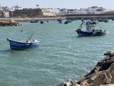 2024 Maroc, 10620 Assilah le port