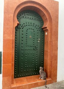 2024 Maroc, 10927 Assilah
