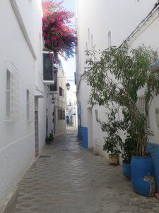 2024 Maroc, 12026 Assilah