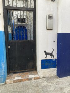 2024 Maroc, 10916 les murs d’Assilah