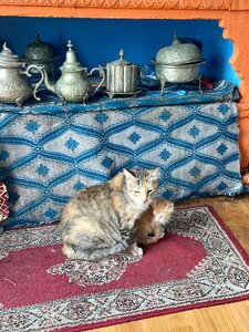 2024 Maroc, 13891 Tanger clients du bar musical