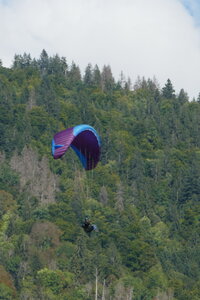 Samoëns 2024, P1030315