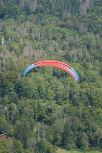 Samoëns 2024, P1030529