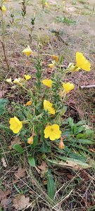 2024-09 Les boucles de Moisson , IMG_20240929_124757