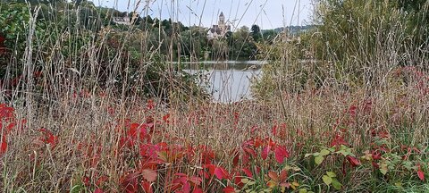 2024-09 Les boucles de Moisson , IMG_20240929_142418