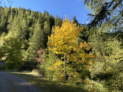 Chemin du facteur, IMG_1351