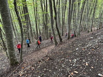 Chemin du facteur, IMG_3401