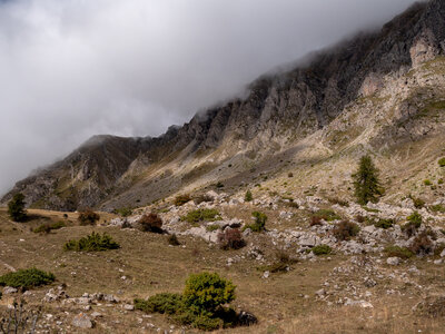 03-10-24 Piolit col de Chorge, _1096666