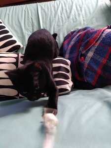 Mina, IMG_20240930_200201
