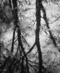 blogpix2, pluie