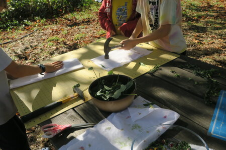 2024 octobre ateliers d'artistes la maison, IMG_8905