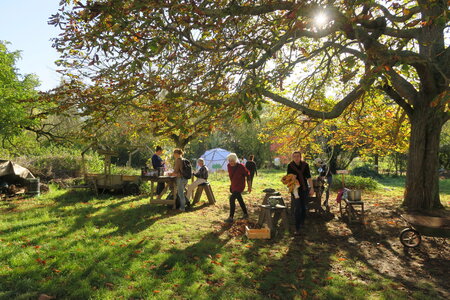 2024 octobre ateliers d'artistes la maison, IMG_8934