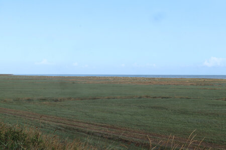 2023 09 21 Du Mont-Saint-Michel à Vivier-Sur-Mer, IMG_6148 Vue depuis le polder Tesnières