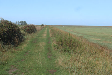 2023 09 21 Du Mont-Saint-Michel à Vivier-Sur-Mer, IMG_6149 Le sentier sur la digue des polders Tesnières et Molinié