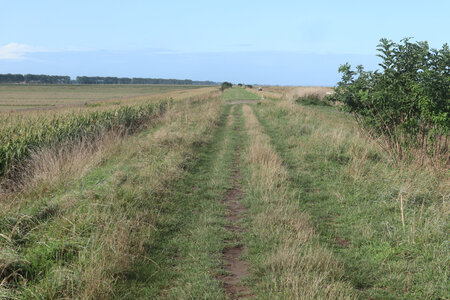 2023 09 21 Du Mont-Saint-Michel à Vivier-Sur-Mer, IMG_6153 Le sentier sur la digue du polder Frémont