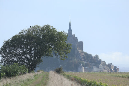2023 09 21 Du Mont-Saint-Michel à Vivier-Sur-Mer, IMG_6154 Le Mont-Saint-Michel vu de Bretagne depuis le polder Frémont