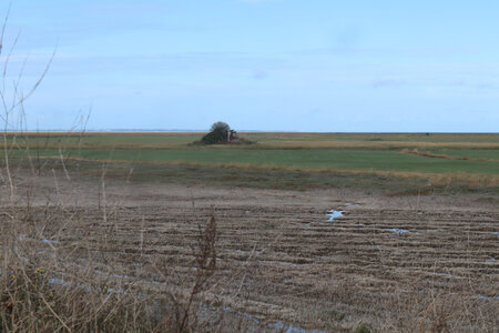 2023 09 21 Du Mont-Saint-Michel à Vivier-Sur-Mer, IMG_6157 L’estran herbu depuis le polder du Nouveau Conseil