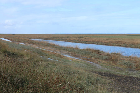 2023 09 21 Du Mont-Saint-Michel à Vivier-Sur-Mer, IMG_6158 L’estran herbu depuis le polder du Nouveau Conseil