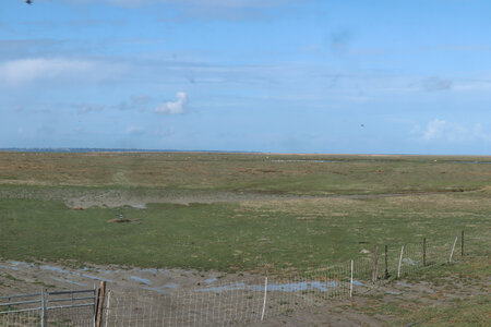 2023 09 21 Du Mont-Saint-Michel à Vivier-Sur-Mer, IMG_6159 L’estran herbu depuis le polder du Nouveau Conseil