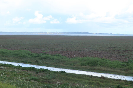 2023 09 22 Du Vivier-sur-Mer à Dol-de-Bretagne, IMG_6198 L’estran herbu au Vivier-sur-Mer