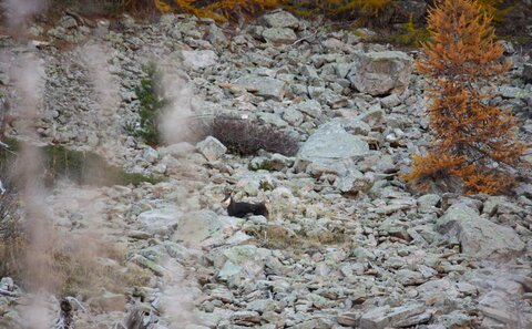laverq et les eaux tortes 2024-10-31, Laverq 2024-10-31  17