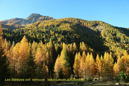 Les Eaux Tortes (Vallon du Laverq), Le Vallon du Laverq 007