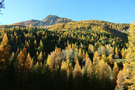 Les Eaux Tortes (Vallon du Laverq), Le Vallon du Laverq 009