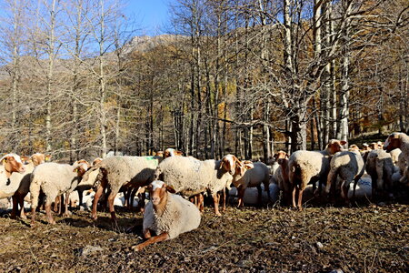 Les Eaux Tortes (Vallon du Laverq), Le Vallon du Laverq 012