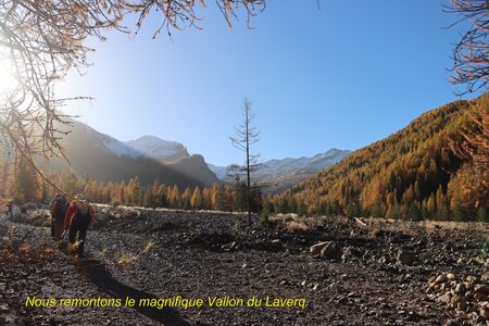 Les Eaux Tortes (Vallon du Laverq), Le Vallon du Laverq 015