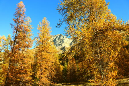 Les Eaux Tortes (Vallon du Laverq), Le Vallon du Laverq 016