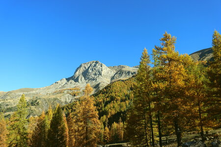 Les Eaux Tortes (Vallon du Laverq), Le Vallon du Laverq 019