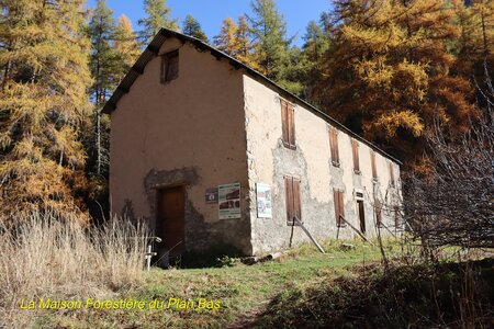Les Eaux Tortes (Vallon du Laverq), Le Vallon du Laverq 021