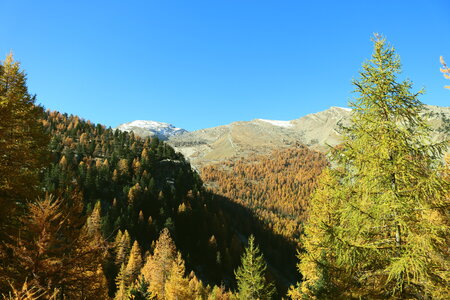 Les Eaux Tortes (Vallon du Laverq), Le Vallon du Laverq 025