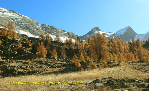 Les Eaux Tortes (Vallon du Laverq), Le Vallon du Laverq 031