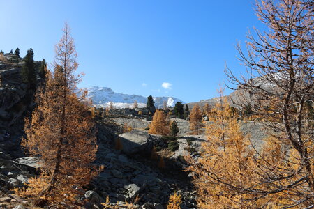 Les Eaux Tortes (Vallon du Laverq), Le Vallon du Laverq 034